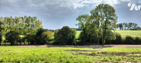 A VENDRE 56 PLOEREN, proche Vannes et Arradon, belle propriété, sur terrain + de 4 hectares + hangar
