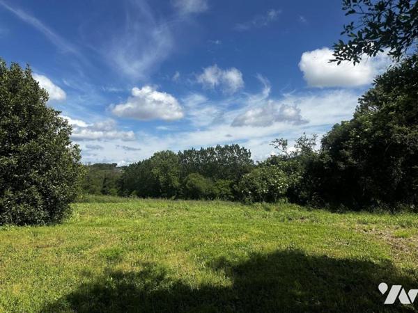 A VENDRE 56 PLOEREN, proche Vannes et Arradon, belle propriété, sur terrain + de 4 hectares + hangar