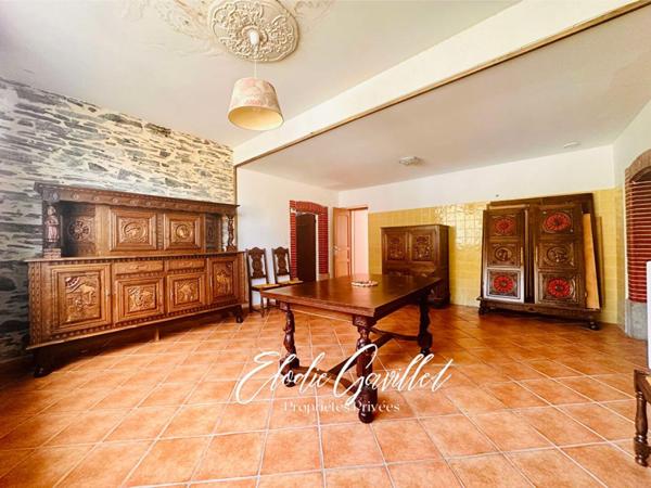 Maison Cuxac-Cabardès 11 pièce(s) 304 m2