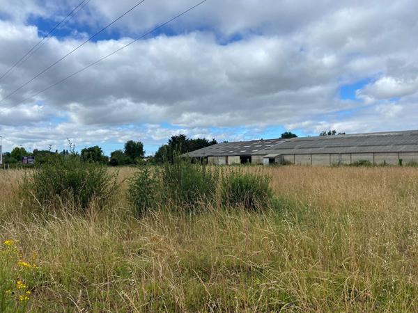 Terrain Challans 2520 m2