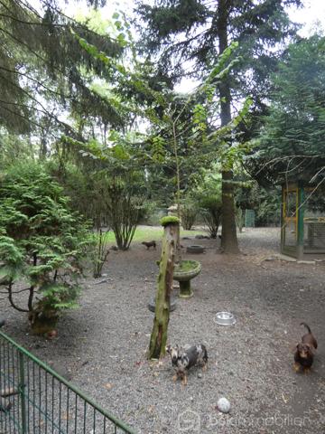 Maison ancienne de 186,87 m²