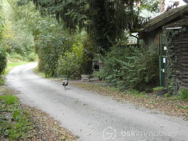 Maison ancienne de 186,87 m²