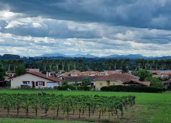 Terrain à vendre    Peyrehorade