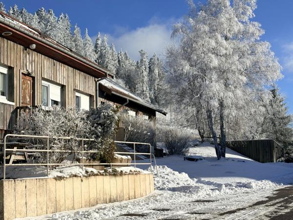Gîte vue exceptionnelle sur le lac de Gérardmer