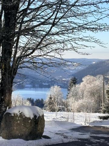 Gîte vue exceptionnelle sur le lac de Gérardmer