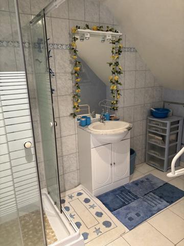 Maison avec 4 chambres et 2 sdb's, Grand sous sol. Jardin 2212 m2