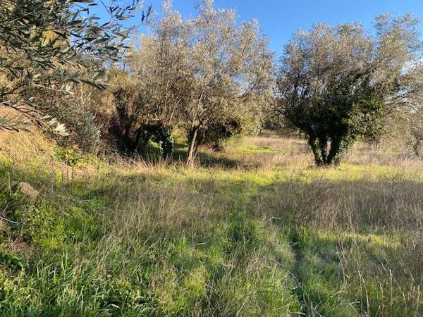 A VENDRE EN EXCLUSIVITE - Terrain constructible DRAGUIGNAN de 1 782m² avec permis purgé - Projet centre médical