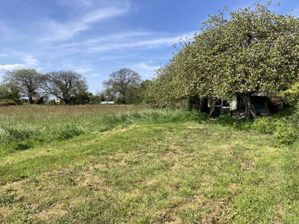 Lot de deux maisons I Penvénan I Proche bourg 
