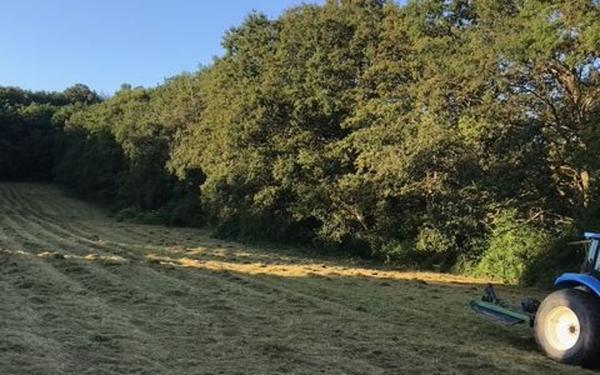 Terrain à vendre    Arquian