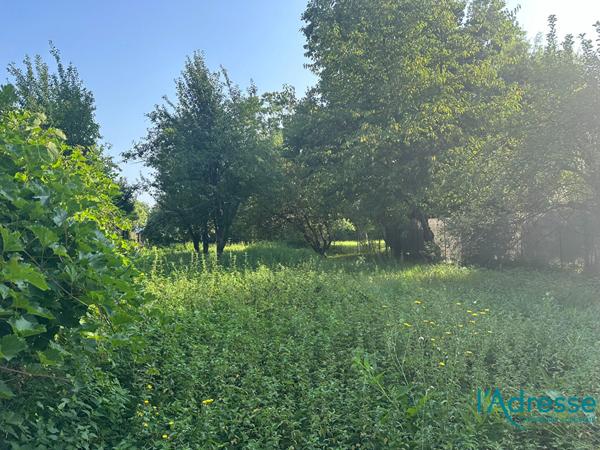 Terrain de loisirs Colmar