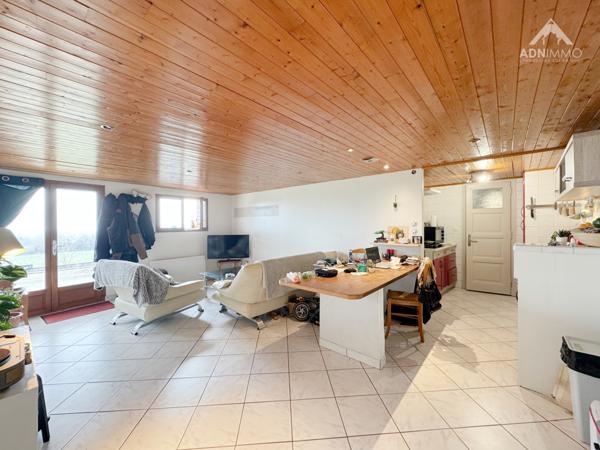 Collonges (01550) Maison Village 176 m2 + Appartement T2 + Atelier 100 m2