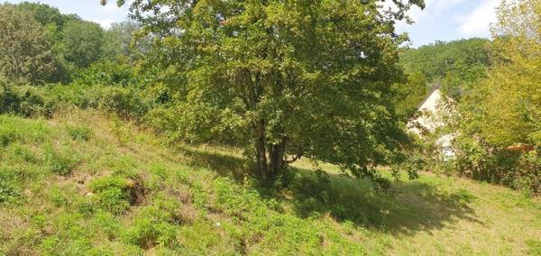 Terrain à vendre    Lissac-sur-Couze