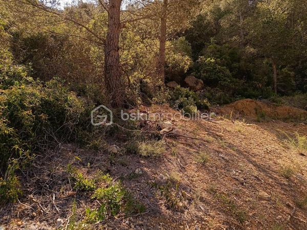 Terrain agricole de 2 045 m²