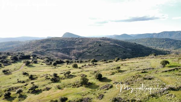 Clermont-l'Hérault (34800) Domaine de 145 hectares avec petit mas à rénover à Clermont l’Hérault (34) France