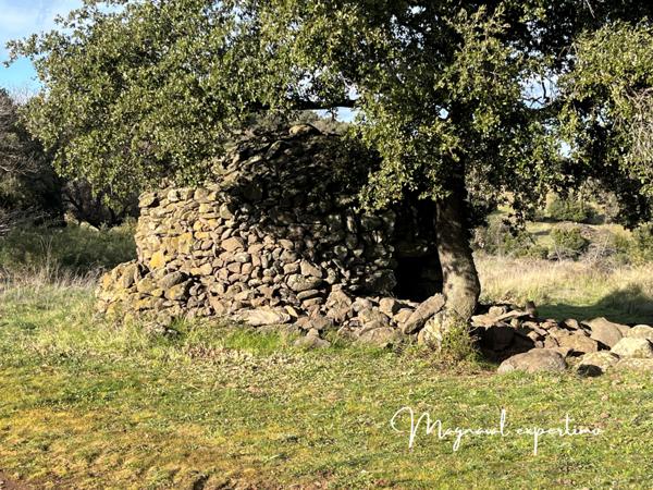 Clermont-l'Hérault (34800) Domaine de 145 hectares avec petit mas à rénover à Clermont l’Hérault (34) France