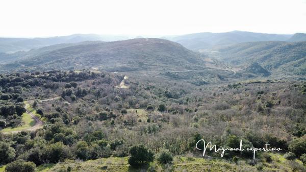 Clermont-l'Hérault (34800) Domaine de 145 hectares avec petit mas à rénover à Clermont l’Hérault (34) France