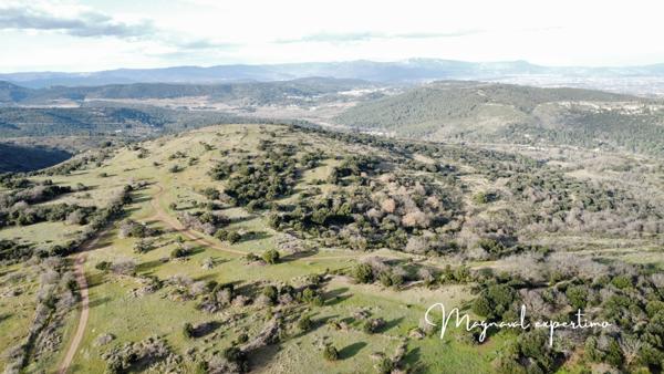 Clermont-l'Hérault (34800) Domaine de 145 hectares avec petit mas à rénover à Clermont l’Hérault (34) France