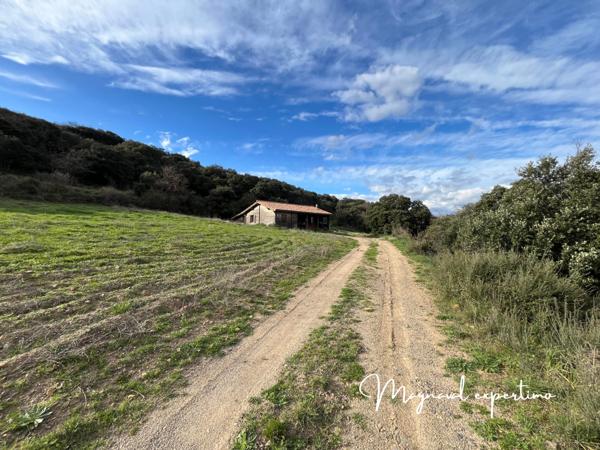 Clermont-l'Hérault (34800) Domaine de 145 hectares avec petit mas à rénover à Clermont l’Hérault (34) France