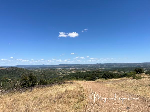 Clermont-l'Hérault (34800) Domaine de 145 hectares avec petit mas à rénover à Clermont l’Hérault (34) France