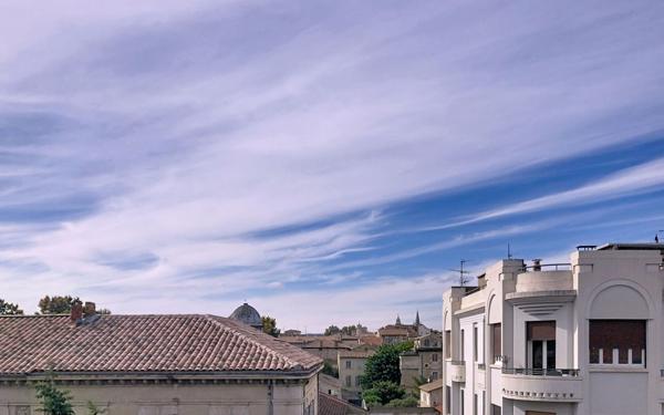 Appartement à louer    2 pièces • 46,46 m2 Avignon