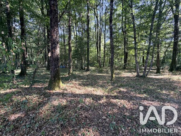 Maison à vendre 6 pièces 231 m² Saint-Avertin