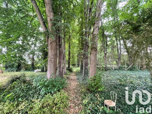 Maison à vendre 12 pièces 330 m² Chamigny