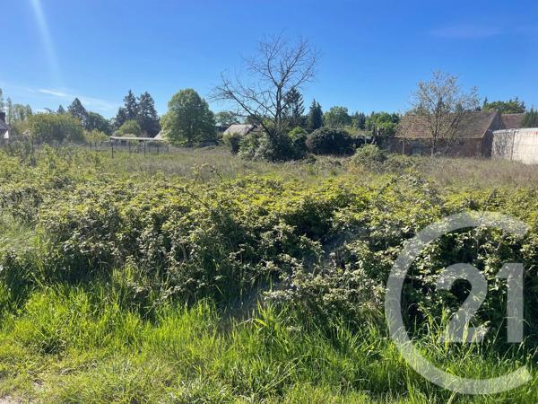 Terrain à vendre  956 m 2   ST MARTIN D ABBAT  - 45
