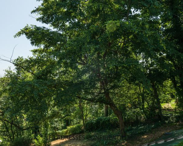 Tassin L'Aigas - Elégante maison contemporaine de 176 m² sur terrain arboré de 1 442 m²