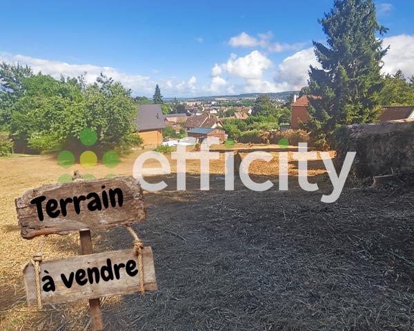 Terrain
        
        - 1617 m² Exclusivité 82 500 € *