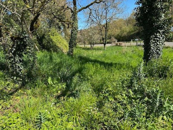 terrain constructible de 1320 m2