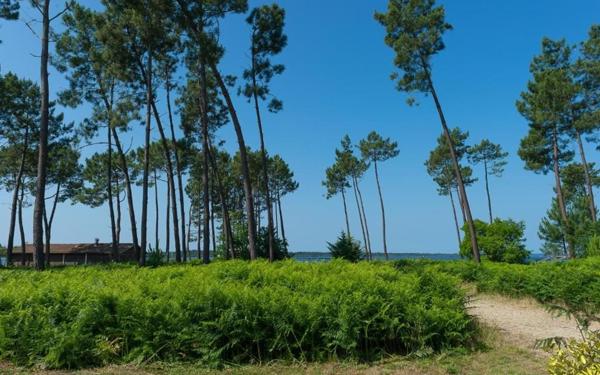 Maison à vendre    5 pièces • 32,72 m2 Parentis-en-Born