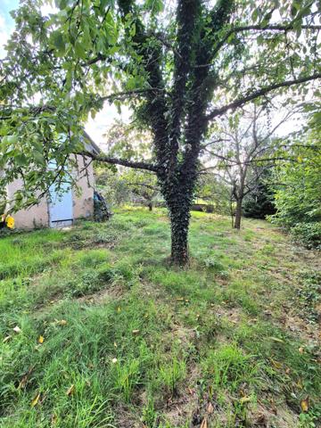 MAISON SUR SOUS SOL