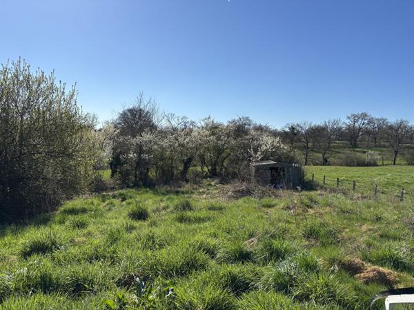 Hérisson - Maison avec studio et piscine Hérisson (03190)