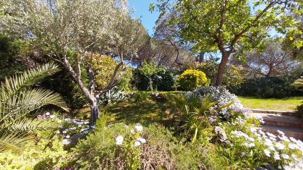 Fréjus. prestige : villa de plain pieds avec piscine