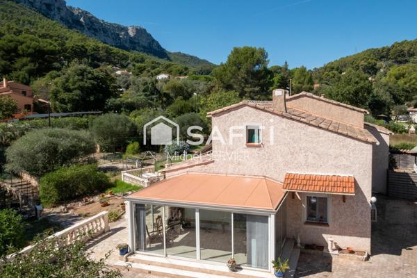 Rare sur le secteur. Au calme !