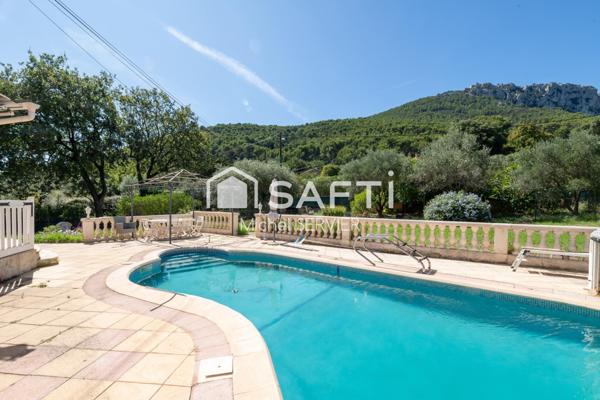 Rare sur le secteur. Au calme !