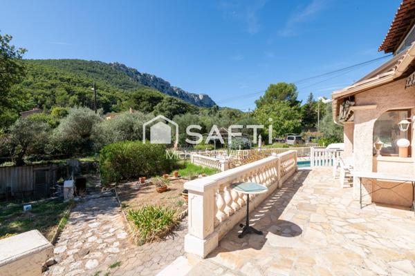 Rare sur le secteur. Au calme !