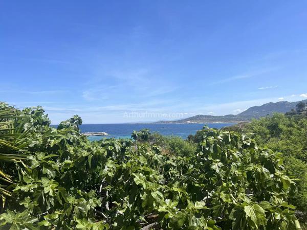 Vente Appartement 4 pièces 58 m2 à Algajola