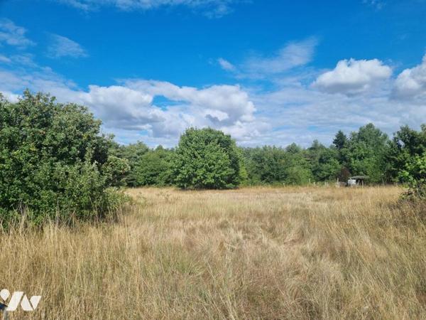 AMILLY 45200 - Terrain à Bâtir