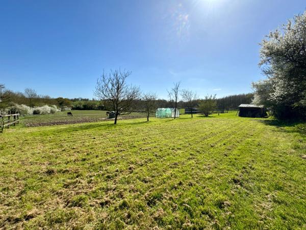 Maison en pierres 5 chambres avec bureau et terrain de 2,5 Hectares