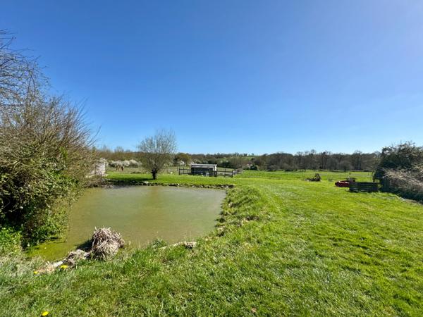 Maison en pierres 5 chambres avec bureau et terrain de 2,5 Hectares