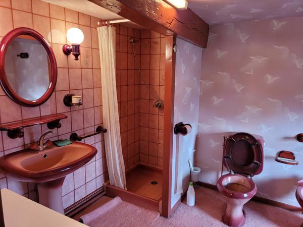 Grande Maison avec 2 appartements + caves et cour