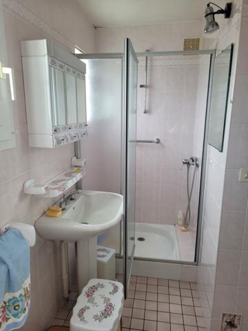 Grande Maison avec 2 appartements + caves et cour