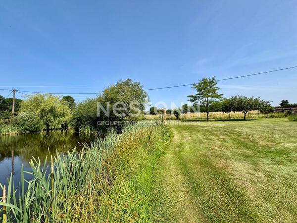 A vendre - Grande maison familiale avec piscine, dépendances et écuries - 9 pièces - 205m² - entre Thouars et Argentonnay - D5878