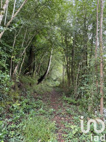 Maison à vendre 4 pièces 127 m² Trébons