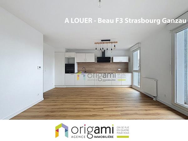 Strasbourg Ganzau - Superbe F3 Rénové de 61 m² Strasbourg Strasbourg Ganzau - Superbe F3 Rénové de 61 m² Strasbourg