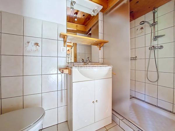 Ancienne ferme avec une grange à SAINT GERVAIS LES BAINS (74)