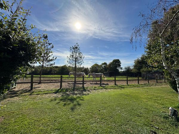 Maison 160m² à vendre à Belligné - 3 chambres, bureau, mezzanine, garage et 1 hectare de terrain.