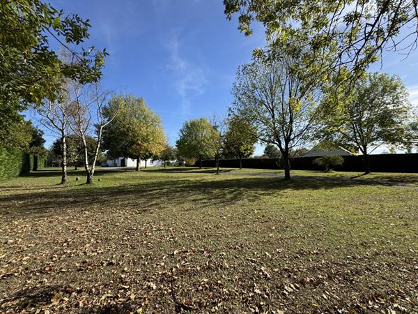 Maison 160m² à vendre à Belligné - 3 chambres, bureau, mezzanine, garage et 1 hectare de terrain.