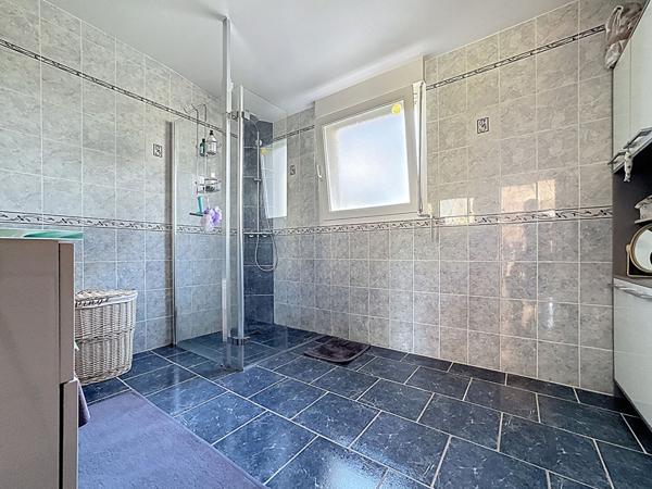 Maison 160m² à vendre à Belligné - 3 chambres, bureau, mezzanine, garage et 1 hectare de terrain.